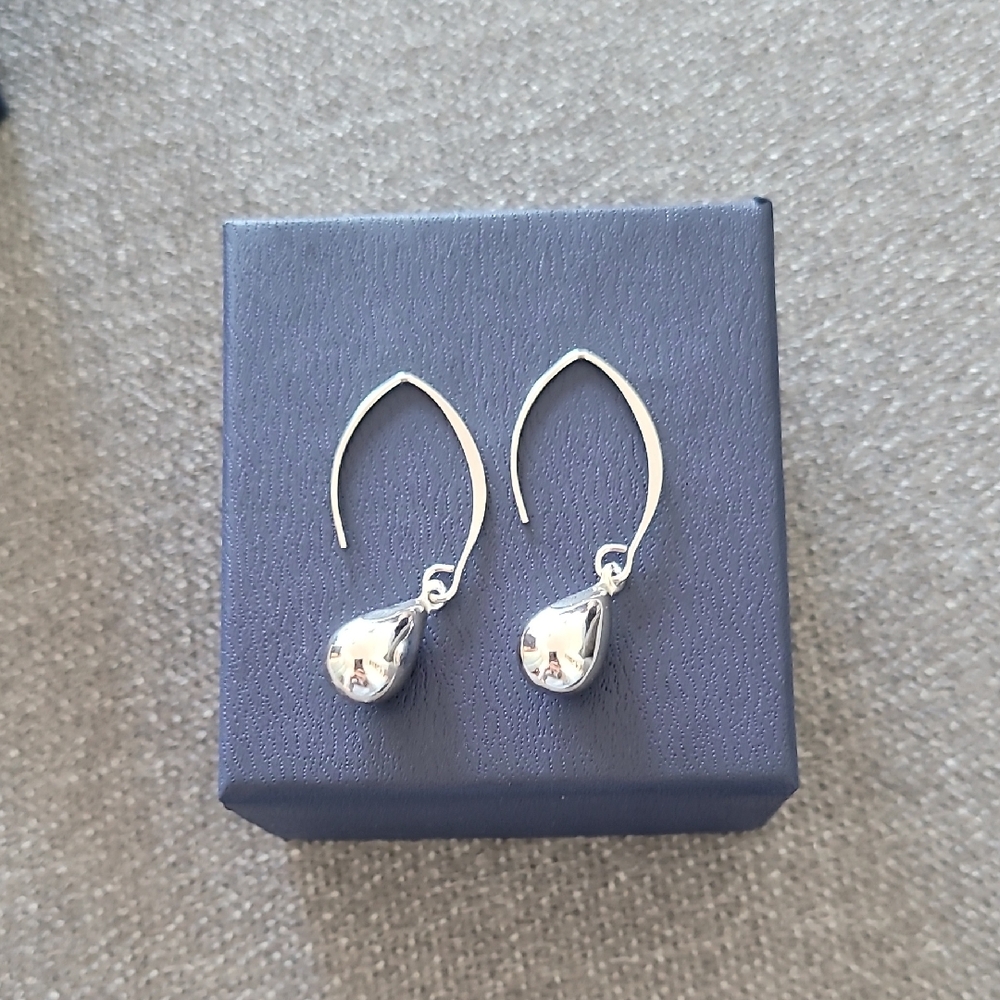 Elegant Silver Teardrop Earrings